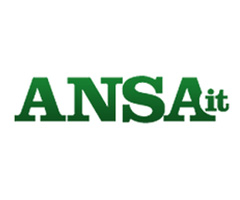 Ansa